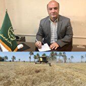 خرید بیش از ۱۰ هزار تن گندم از کشاورزان ایرانشهر