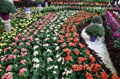 برپایی بزرگترین نمایشگاه و جشنواره گل و گیاه شمال کشور در ساری