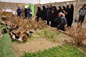 اجرای طرح زنان کارآمد، روستای سرآمد در سیستان وبلوچستان