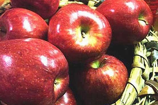 سیب,چاقی,باکتری های مفید روده,افراد چاق