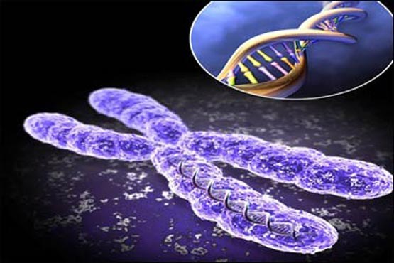 کشف ژن جدید برای درمان سرطان لوله گوارش