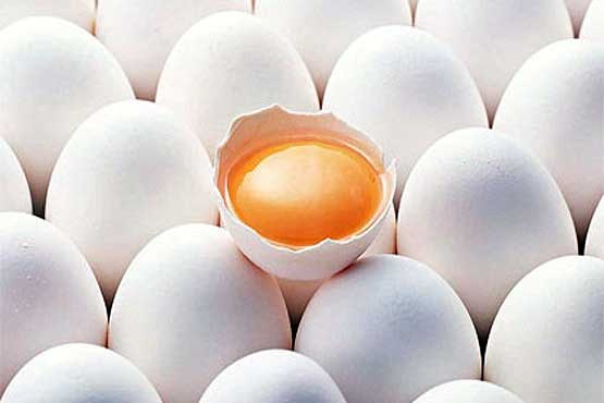 آزاده لعلی,روز جهانی تخم مرغ