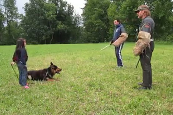 دفاع سگ تربیت شده از صاحب پنج ساله‌اش