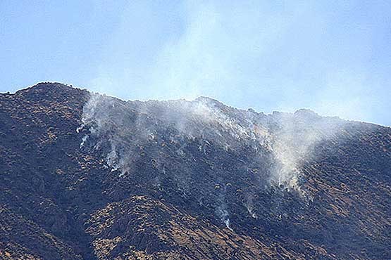 آتش‌سوزی جنگل‌های بلوط در خرم‌آباد مهار شد