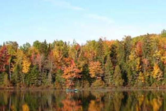 پاییز کانادا یا تابستان سرخ پوستی