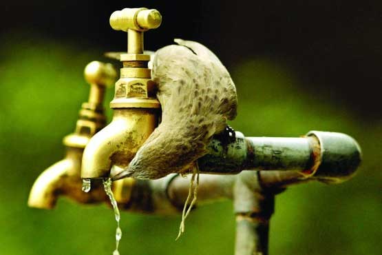 طرح وزارت نیرو: آب لوله‌کشی غیرآشامیدنی می‌شود