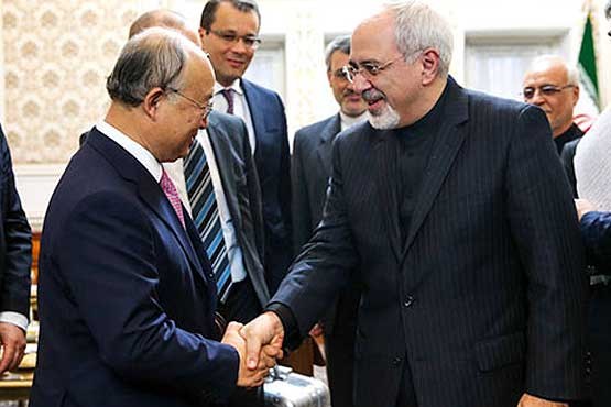 محمدجواد ظریف,یوکیا آمانو مدیر کل آژانس بین المللی انرژی اتمی,مذاکرات هسته ای