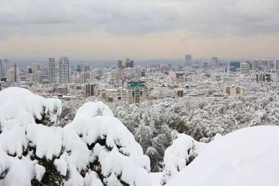 برف و باران در تهران