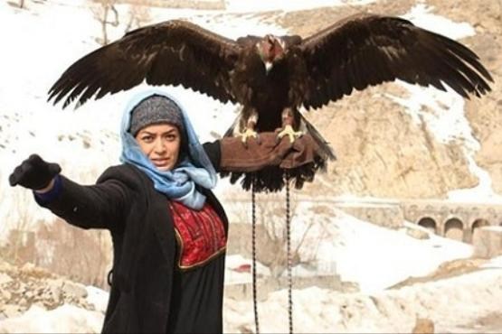 عقابی که بر دستان الهام چرخنده آرام گرفت/ عکس