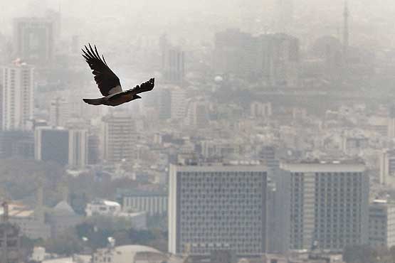 افزایش آلاینده‌های جوی در تهران
