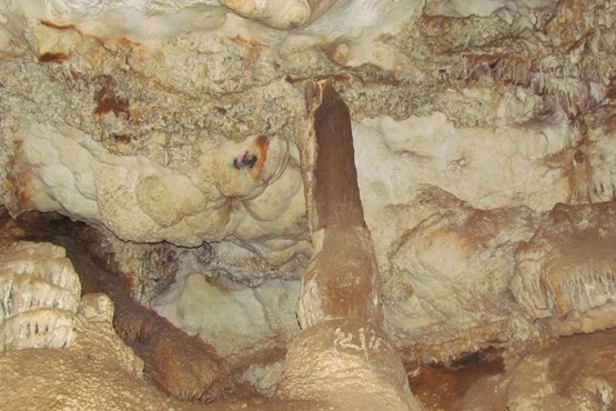 غار نباتی اعجازی طبیعی در تفت+عکس