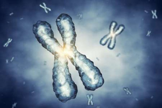 اولین کروموزوم مصنوعی ساخته شد