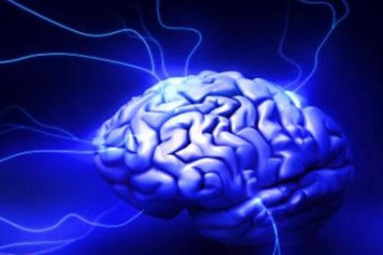 فرماندهی مرکز حافظه مغز توسط یک جفت پروتئین