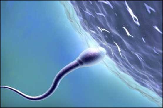 مردان خوش‌چهره کیفیت اسپرم پایین‌تری دارند!