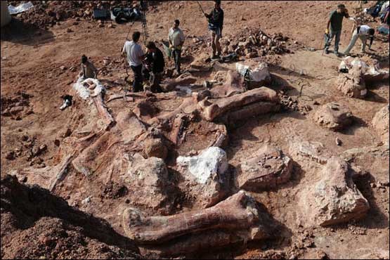 کشف سنگواره بزرگترین دایناسور کره زمین