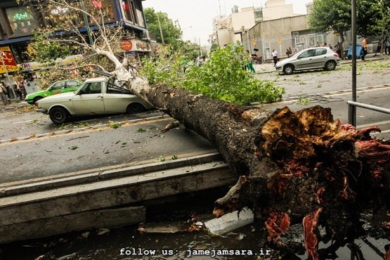 سقوط 180 درخت در طوفان تهران