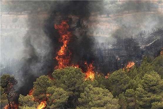 آتش سوزی جنگل‌های کازرون مهار شد