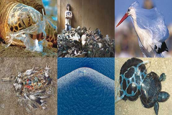 زباله پلاستیکی,فرناز حیدری,اقیانوس