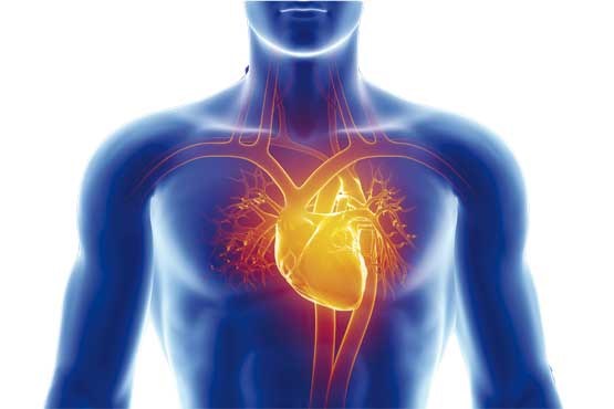 چه روزهایی در هفته حمله قلبی بیشتر رخ می‌دهد؟