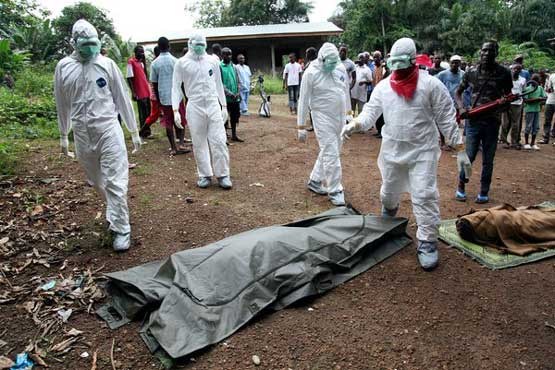 ابولا,سازمان جهانی بهداشت