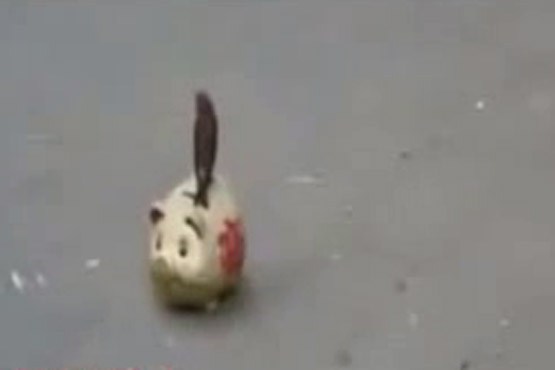 پرنده‌هایی عجیب که پس‌انداز را آموزش می‌دهند