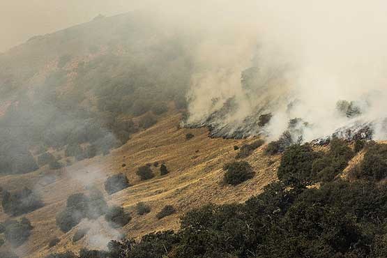 آتش سوزی,پارک ملی گلستان,محیط زیست