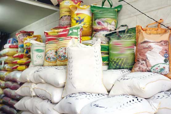 واردات برنج 50 درصد کاهش یافت