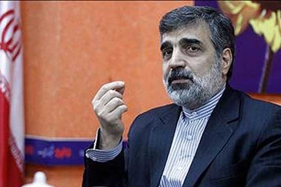 ایران و آژانس به تفاهم اصولی دست یافتند