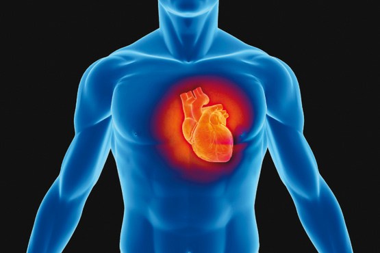 هشدار جدی درباره مصرف داروهای گیاهی قلب