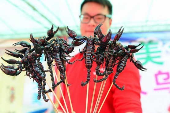جشنواره غذا با طعم حشرات,چین