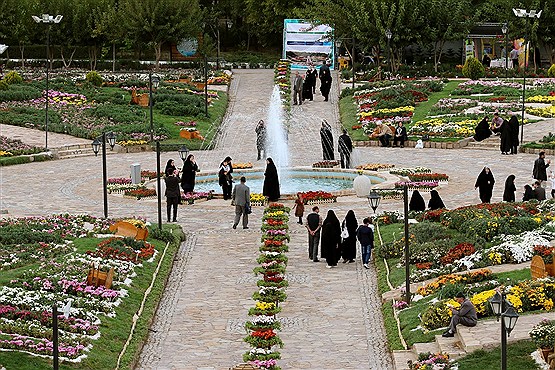 نمایشگاه تخصصی گل‌های داوودی در مشهد