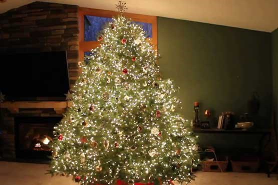 زیباترین درخت کریسمس + فیلم