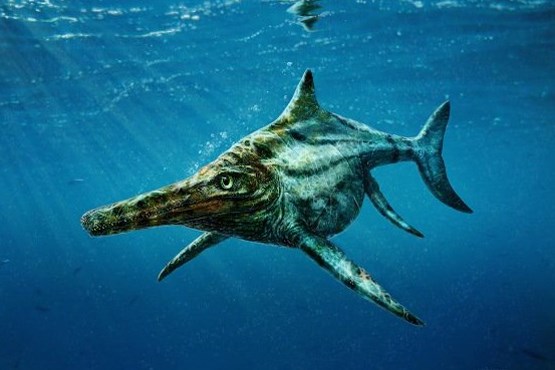 فسیل تمساح ماهی کشف شد + عکس