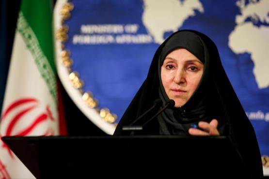 افخم: ایران به گزارش احمد شهید اعتماد ندارد