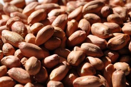 ۱۳ فایده و خاصیت نهفته در خوردن بادام زمینی
