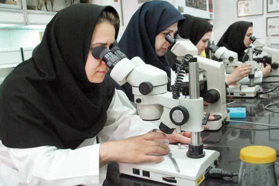 انتقاد صریح وزارت رفاه از دو مصوبه مجلس درباره بازنشستگی/ 100 هزار زن در آستانه بازنشستگی