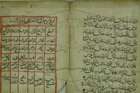 «فردوس الحکمه»، نخستین کتاب دانش پزشکی اسلام