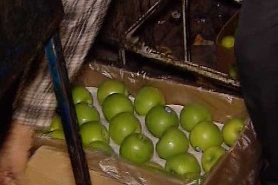 وفور میوه های خارجی در بازار با وجود افزایش تولیدات داخلی