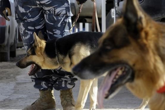آیا وزیر نفت داعش را سگ ها شکار کردند؟