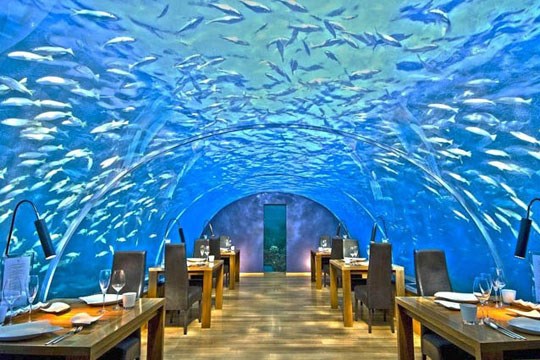 بهترین رستوران‌های زیر آب + عکس