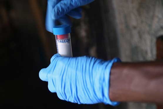 تولید موفقیت‌آمیز واکسن ابولا