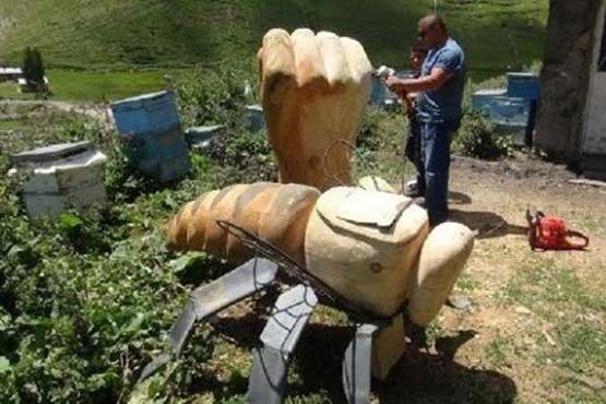 ساخت مجسمه زنبور عسل از کاج ۴۶۰ ساله!