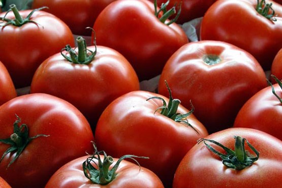 کشف 37 تن گوجه فرنگی قاچاق در گمرک