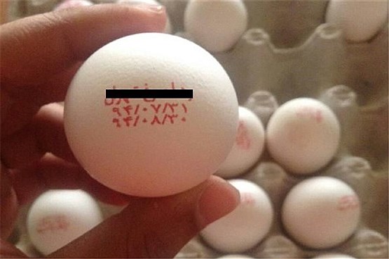 وقتی تخم مرغ ایرانی تاریخ ساز می شود