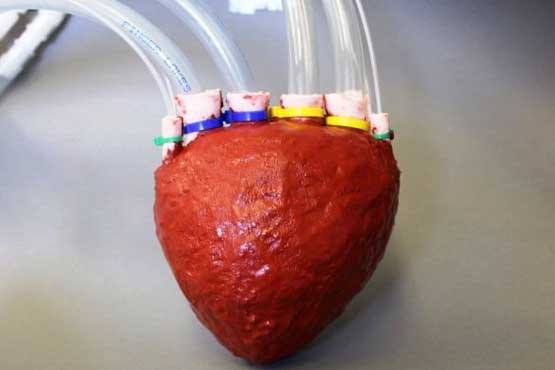 قلب مصنوعی از جنس فوم ساخته شد