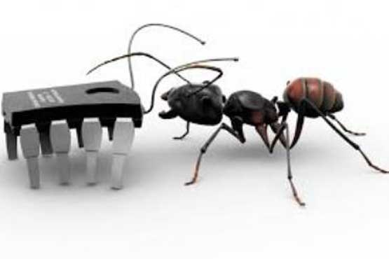 الهام از مورچه برای ساخت نانوروبات های خودتمیز شونده