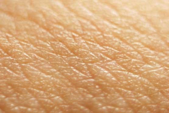جذب برخی آلاینده‌ها از راه پوست