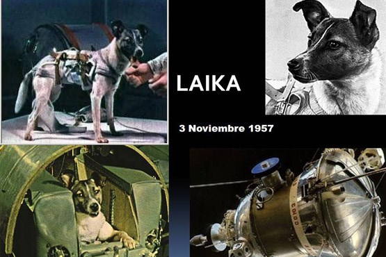 سرنوشت شوم نخستین فضانورد جهان + عکس
