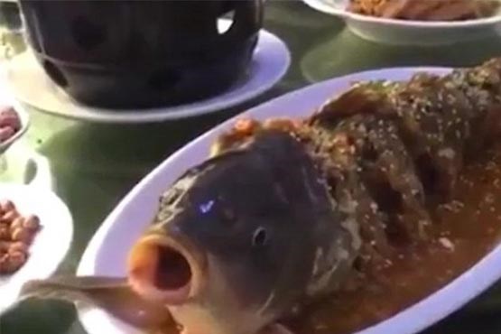 زنده‌شدن ماهی در ظرف غذای یک چینی +عکس