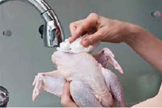 هشدار / مرغ خام را اگر بشویید مسموم می شوید